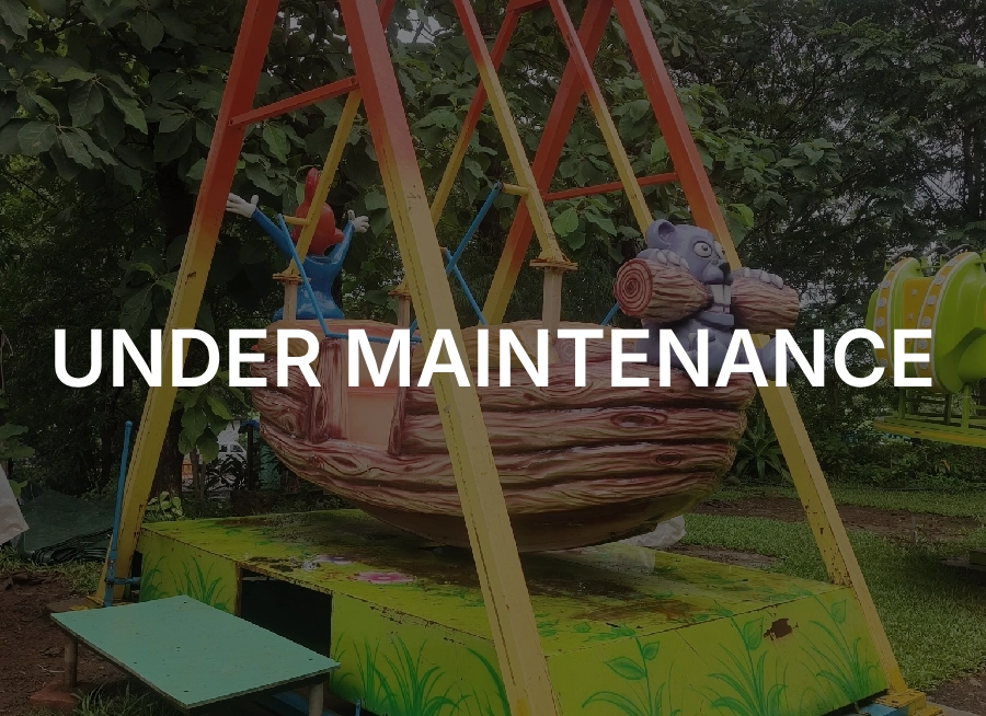 Jungle Adventure Boat