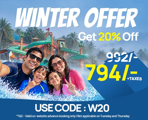 Winter 20% Off